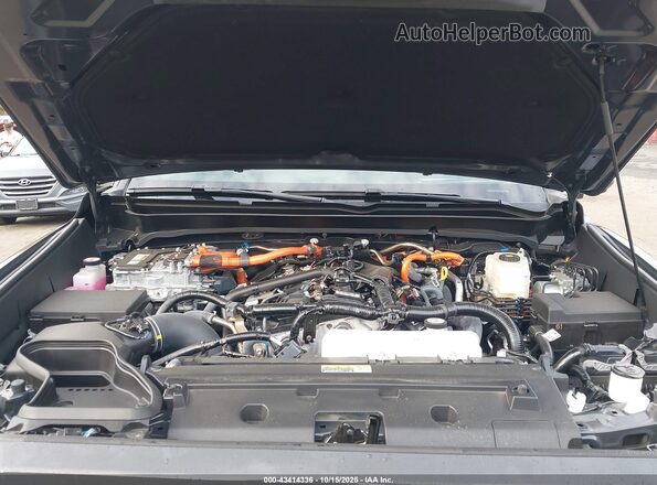 3TYLC5LN9ST035861 2025 TOYOTA TACOMA HYBRID Gray Widok z tyłu