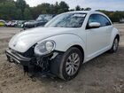 2019 Volkswagen Beetle S White vin: 3VWFD7AT9KM719972