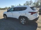 2023 Hyundai Santa Fe Sel White vin: 5NMS2DAJ9PH609342