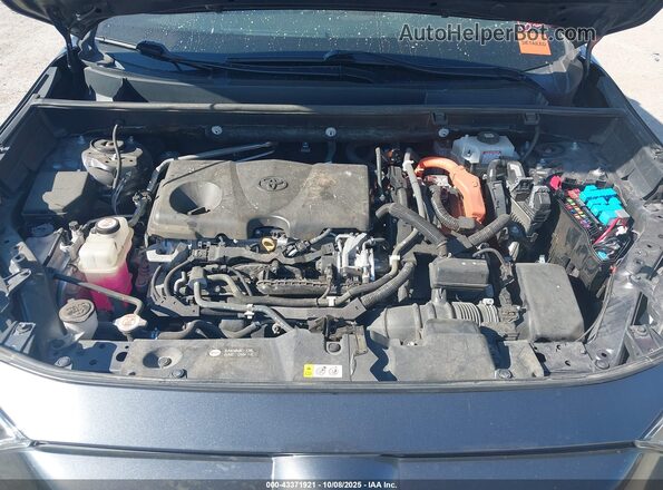 4T3E6RFVXMU006689 2021 TOYOTA RAV4 HYBRID Gray უკანა ხედი