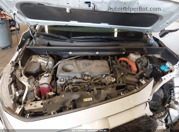 4T3T6RFV3PU106273 2023 TOYOTA RAV4 HYBRID White Widok z tyłu