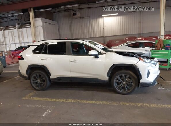 4T3T6RFV3PU106273 2023 TOYOTA RAV4 HYBRID White Widok wnętrza z tyłu