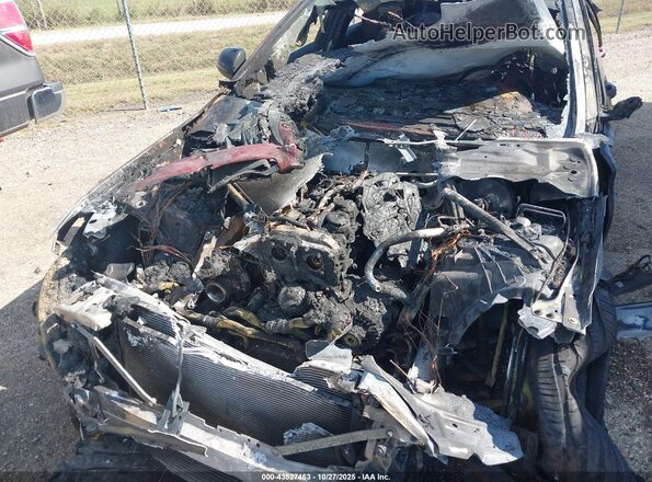 55SWF8EB2KU303432 2019 MERCEDES-BENZ C-CLASS Red Հետևի տեսք