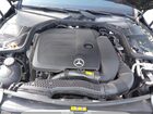 2019 Mercedes-benz C 300 4matic Green vin: 55SWF8EBXKU319460 2019 Mercedes-benz C 300 4matic Green vin: 55SWF8EBXKU319460