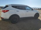 2016 Hyundai Santa Fe Sport White vin: 5XYZU3LB7GG347503