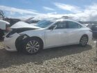 2021 Lexus Es 300h Base White vin: 58ACA1C10MU009014