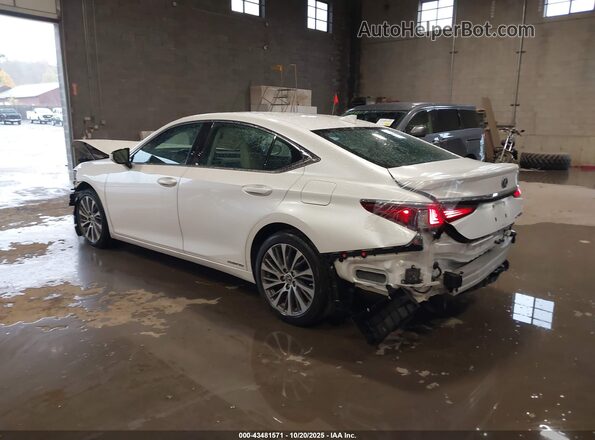 58ADA1C14MU012406 2021 LEXUS ES 300H Белый Задняя левая четверть