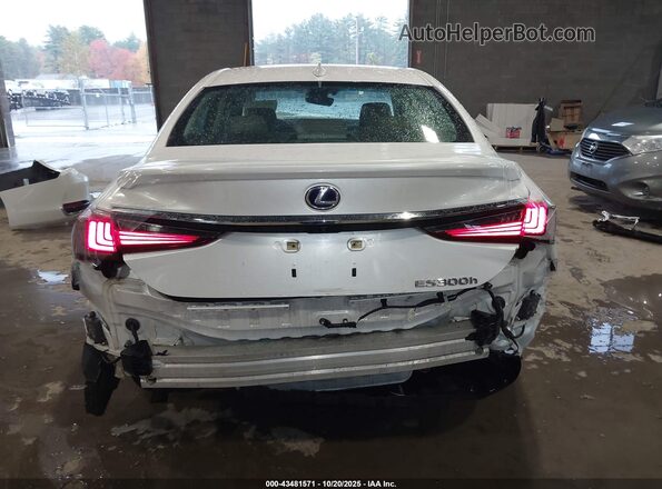 58ADA1C14MU012406 2021 LEXUS ES 300H Белый 