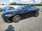 2022 Lexus Es 350 Base Black vin: 58ADZ1B11NU129520