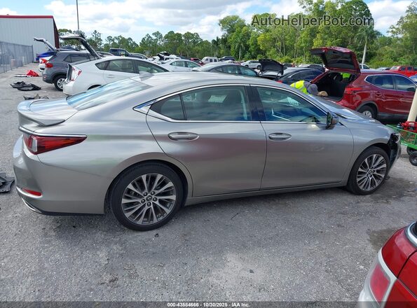 58ADZ1B17LU062600 2020 LEXUS ES 350 Серый Вид задней части салона