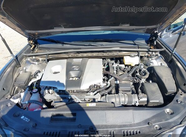 58AFA1C17MU005507 2021 LEXUS ES 300H Gray Widok z tyłu