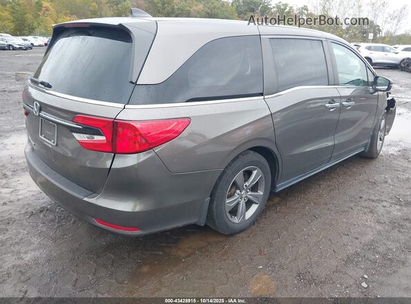 5FNRL6H53MB036922 2021 HONDA ODYSSEY Brown უკანა მარჯვენა