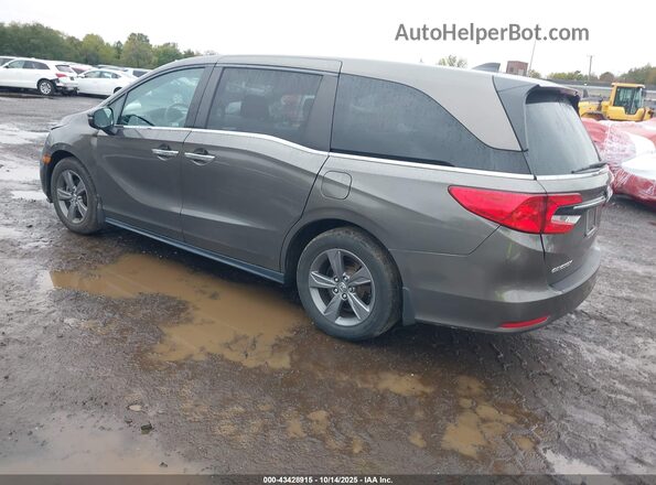 5FNRL6H53MB036922 2021 HONDA ODYSSEY Brown უკანა მარცხენა