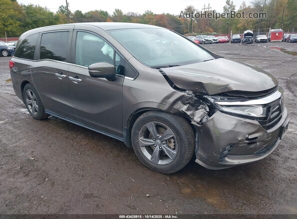 5FNRL6H53MB036922 2021 HONDA ODYSSEY Brown წინა ხედი