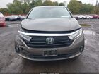 2021 Honda Odyssey Ex Brown vin: 5FNRL6H53MB036922
