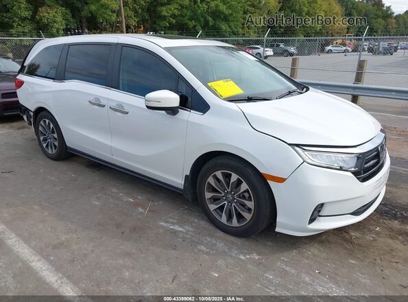 5FNRL6H64PB025005 2023 HONDA ODYSSEY White Передня права чверть