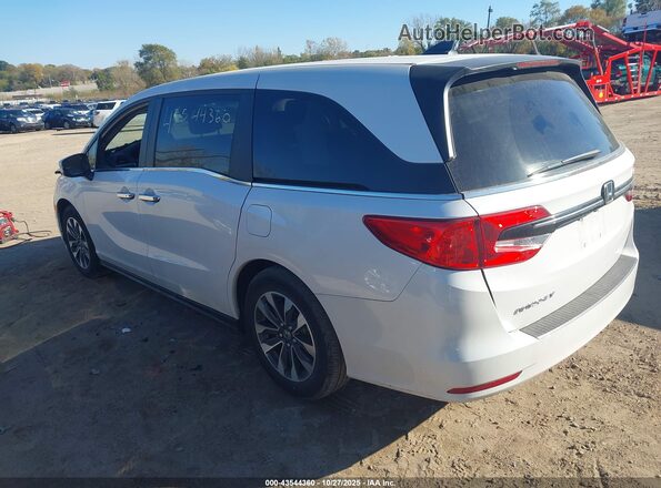 5FNRL6H65RB045590 2024 HONDA ODYSSEY White Tył lewy