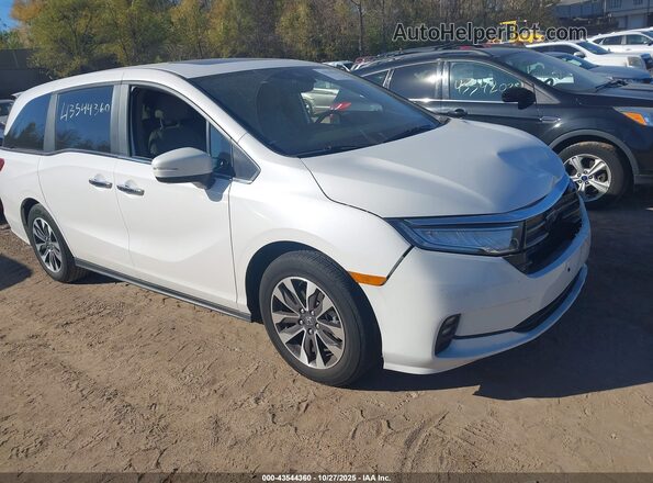 5FNRL6H65RB045590 2024 HONDA ODYSSEY White Przód prawy