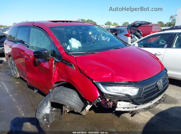 5FNRL6H75RB024649 2024 HONDA ODYSSEY Темно-бордовый Передняя правая четверть