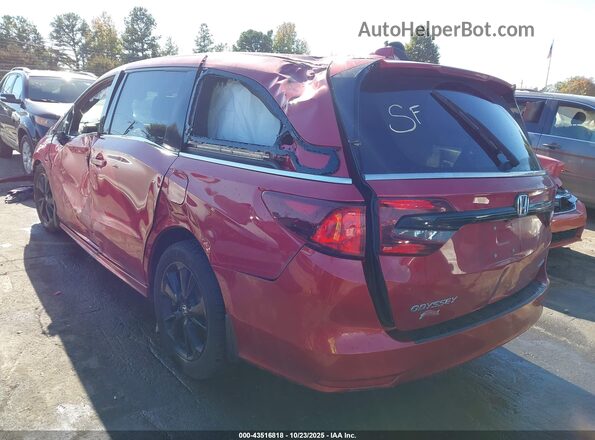 5FNRL6H75RB024649 2024 HONDA ODYSSEY Темно-бордовый Задняя левая четверть