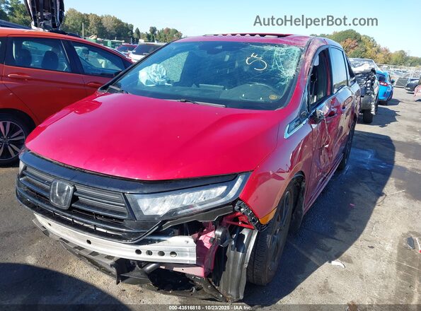 5FNRL6H75RB024649 2024 HONDA ODYSSEY Темно-бордовый Вид спереди