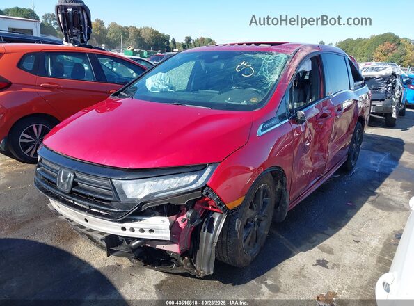 5FNRL6H75RB024649 2024 HONDA ODYSSEY Темно-бордовый Передняя левая четверть