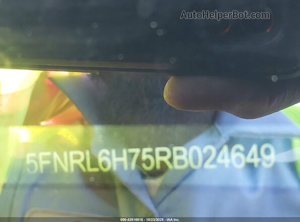 5FNRL6H75RB024649 2024 HONDA ODYSSEY Темно-бордовый Вид подкапотного пространства