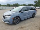 2024 Honda Odyssey Elite Blue vin: 5FNRL6H95RB027732