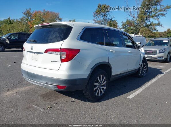 5FNYF6H41KB036229 2019 HONDA PILOT White უკანა მარჯვენა