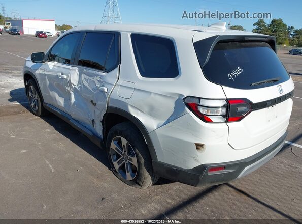 5FNYG2H41RB016658 2024 HONDA PILOT Белый Задняя левая четверть