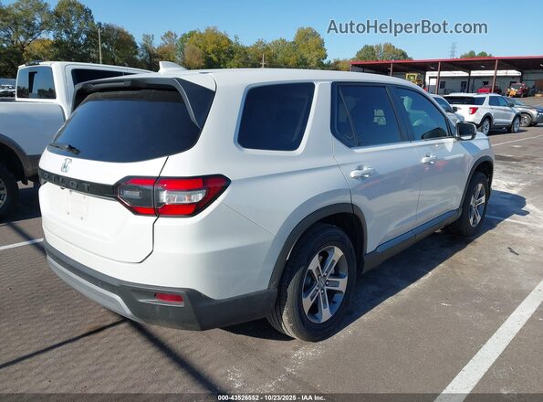 5FNYG2H41RB016658 2024 HONDA PILOT Белый Задняя правая четверть