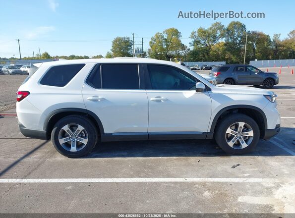 5FNYG2H41RB016658 2024 HONDA PILOT Белый Вид задней части салона