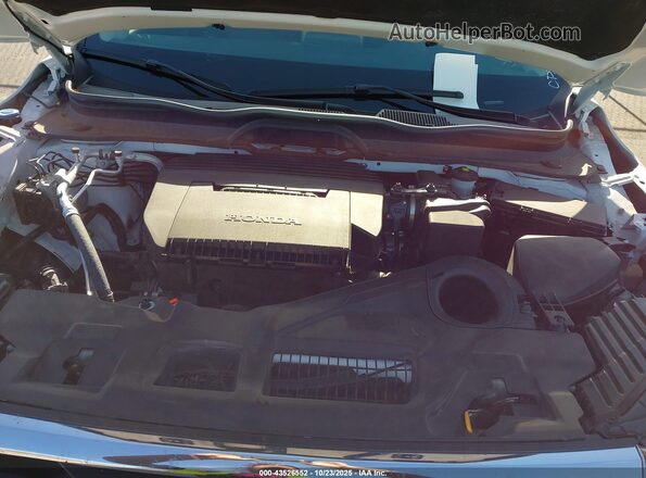 5FNYG2H41RB016658 2024 HONDA PILOT Белый Вид сзади
