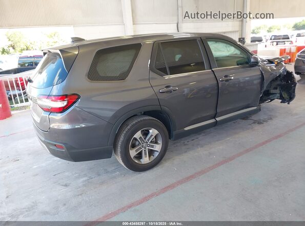5FNYG2H52RB010781 2024 HONDA PILOT Серый Задняя правая четверть