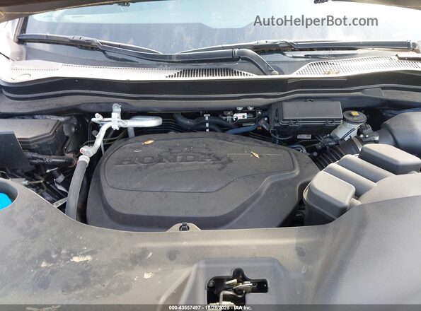 5FPYK3F55RB002740 2024 HONDA RIDGELINE Серый Вид сзади