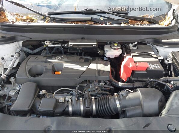 5J8TC2H61PL022916 2023 ACURA RDX Белый Вид сзади