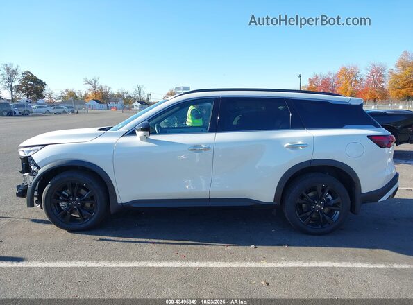 5N1AL1FS4SC353882 2025 INFINITI QX60 White Widok wnętrza 360 stopni