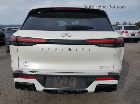 5N1DL1FS3PC345213 2023 INFINITI QX60 Белый Вид сзади