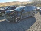 2024 Nissan Pathfinder Rock Creek Green vin: 5N1DR3BD1RC313641