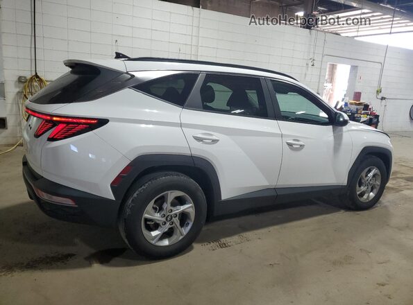 5NMJB3AE5PH281880 2023 HYUNDAI TUCSON Белый Задняя правая четверть
