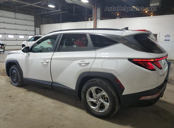 5NMJB3AE5PH281880 2023 HYUNDAI TUCSON Белый Задняя левая четверть