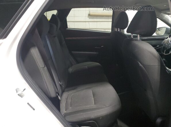 5NMJB3AE5PH281880 2023 HYUNDAI TUCSON Белый Вид задней части салона