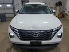 2023 Hyundai Tucson Sel Белый vin: 5NMJB3AE5PH281880