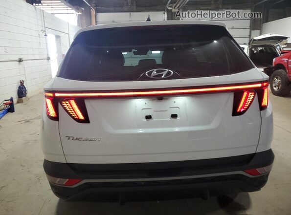 5NMJB3AE5PH281880 2023 HYUNDAI TUCSON Белый Вид сзади