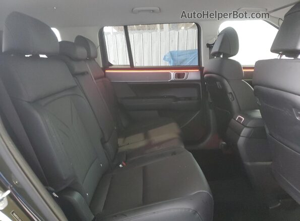 5NMP2DGL3SH097648 2025 HYUNDAI SANTA Зеленый Вид задней части салона