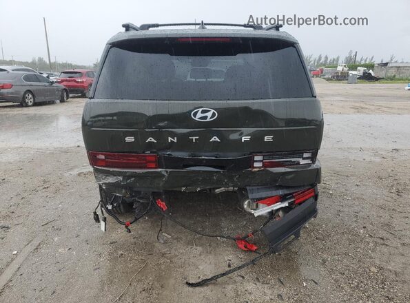 5NMP2DGL3SH097648 2025 HYUNDAI SANTA Зеленый Вид сзади