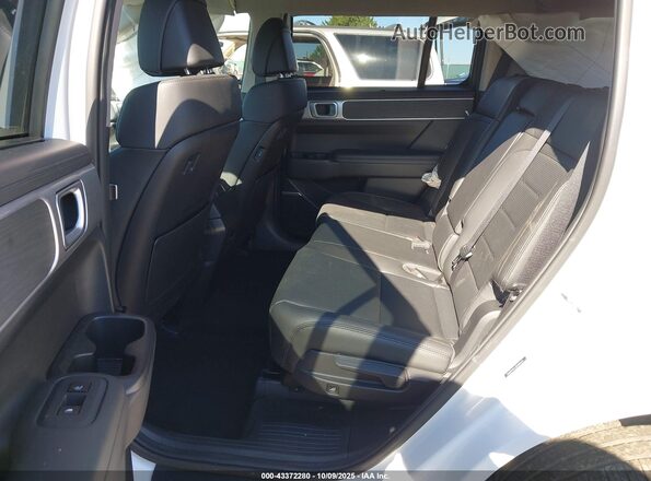 5NMP4DGL1RH006543 2024 HYUNDAI SANTA FE White Widok naklejki z numerem VIN