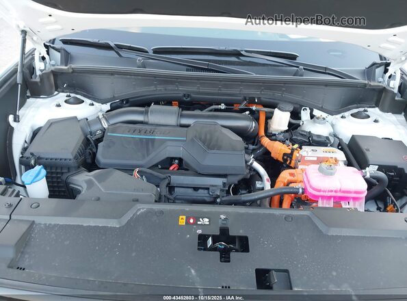 5NMP54G18SH047771 2025 HYUNDAI SANTA FE HYBRID Белый Вид сзади