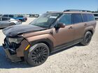 2024 Hyundai Santa Fe Calligraphy Brown vin: 5NMP54GL9RH039870