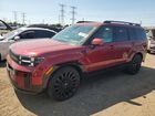 2024 Hyundai Santa Fe Calligraphy Red vin: 5NMP5DGL3RH040402
